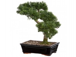 Kantoorinrichtingwinkel